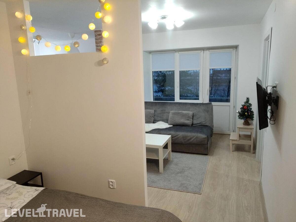 фотографии отеля 200 Метров От Кремля На Набережной Реки Великой в Россия(Псков) - фото №12