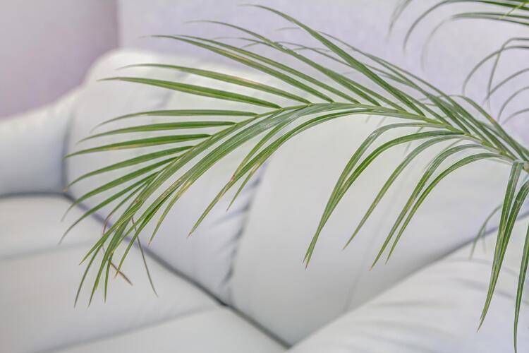 Innhome Apartments (Иннхоум) На Улице Свободы 96