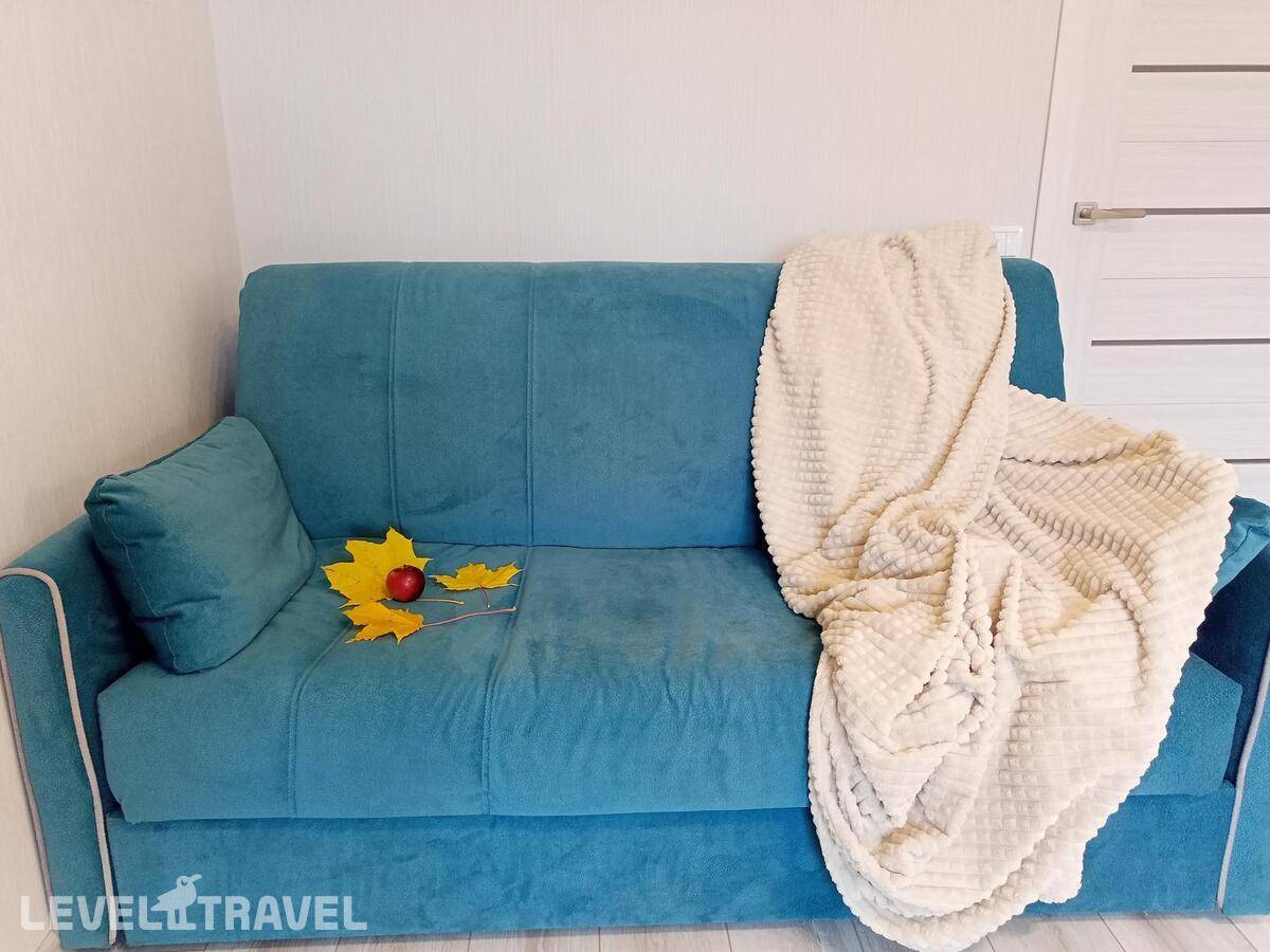 фотографии отеля Апартаменты На Улица Хохлова в Россия(Гатчина) - фото №4