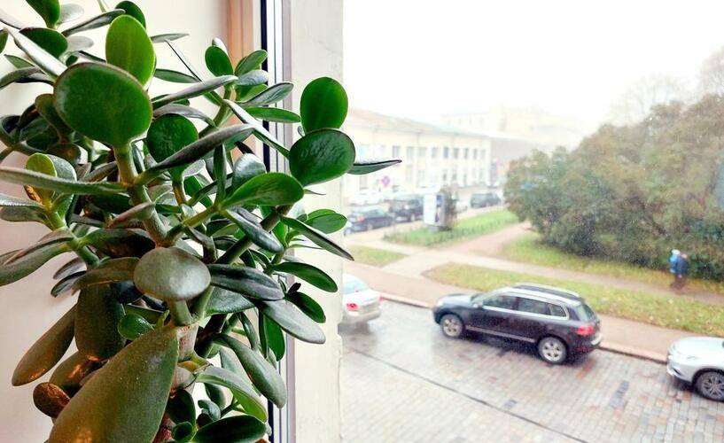 Суточно Выборг На Улице Ленина 7