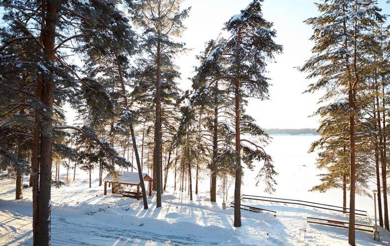Cosmos Karelia Resort