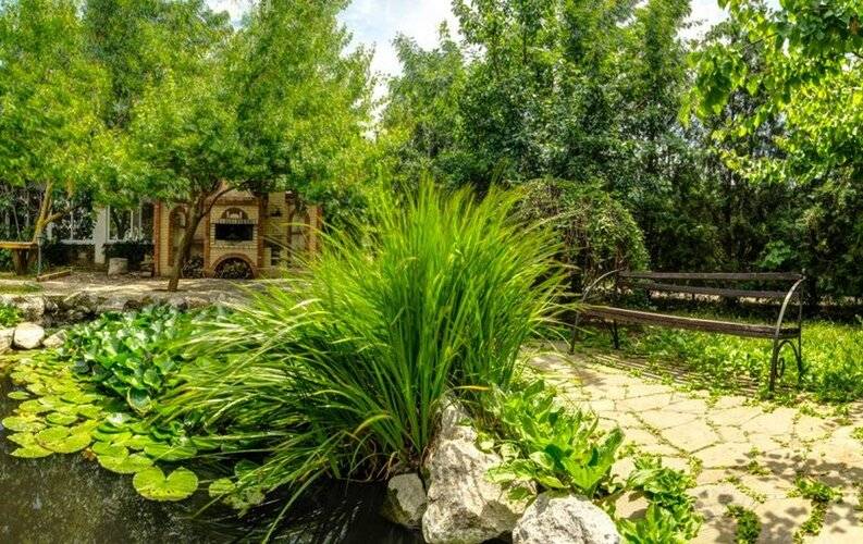 Казантип Центр Парк-Отель