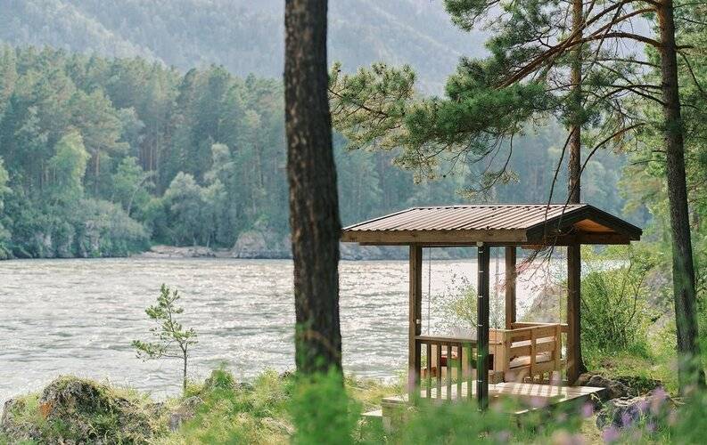 Altay Sense
