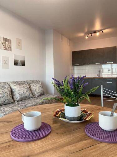 Квартира 1 На Улице Институтская