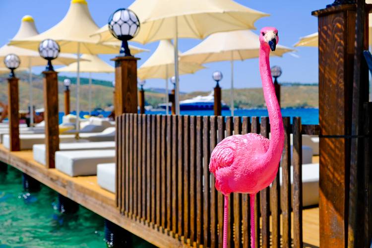 Oscar Seaside Hotel & Spa