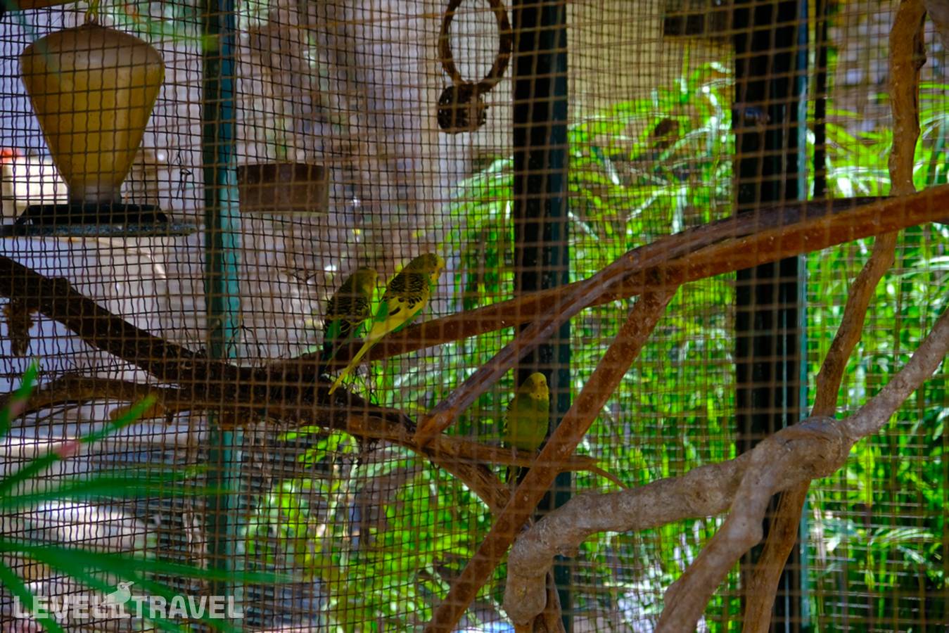 фотографии отеля Oscar Seaside Hotel & Spa в Турция(Бодрум) - фото №4