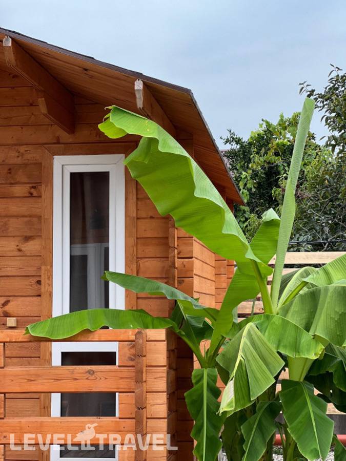 фотографии отеля Гостевой Дом Добро в Абхазия(Сухум) - фото №15