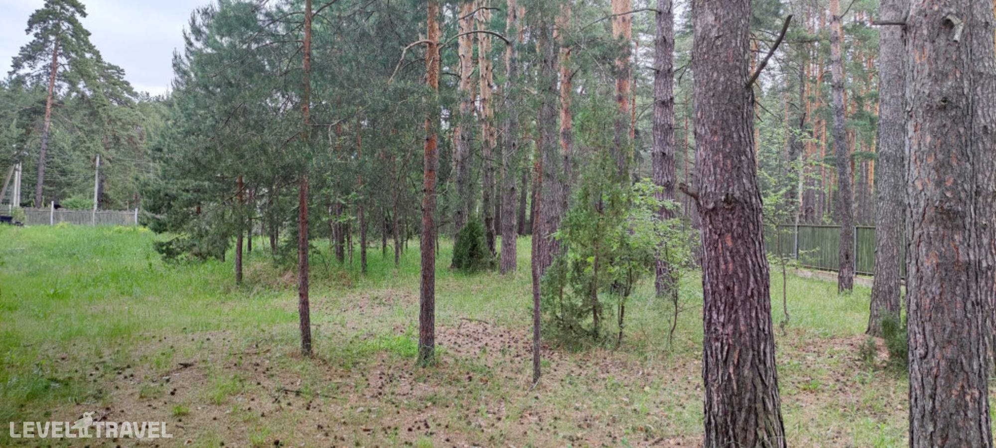 Изображение отеля 11