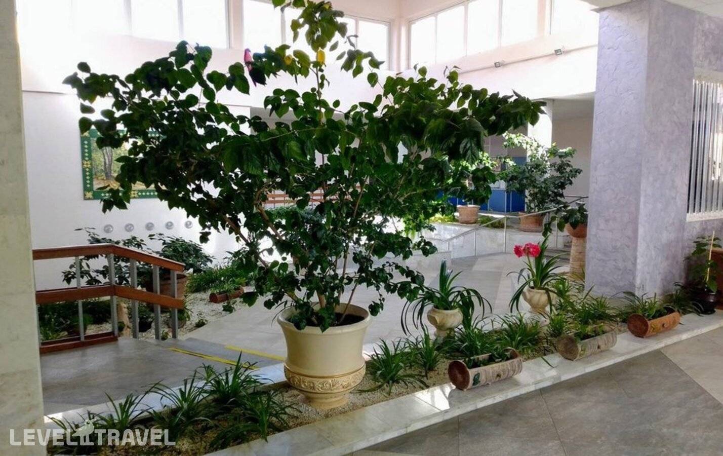 фотографии отеля Санаторий Березина Борисовский Р-Н (Adults Only 18+) в Беларусь(Борисовский район) - фото №27