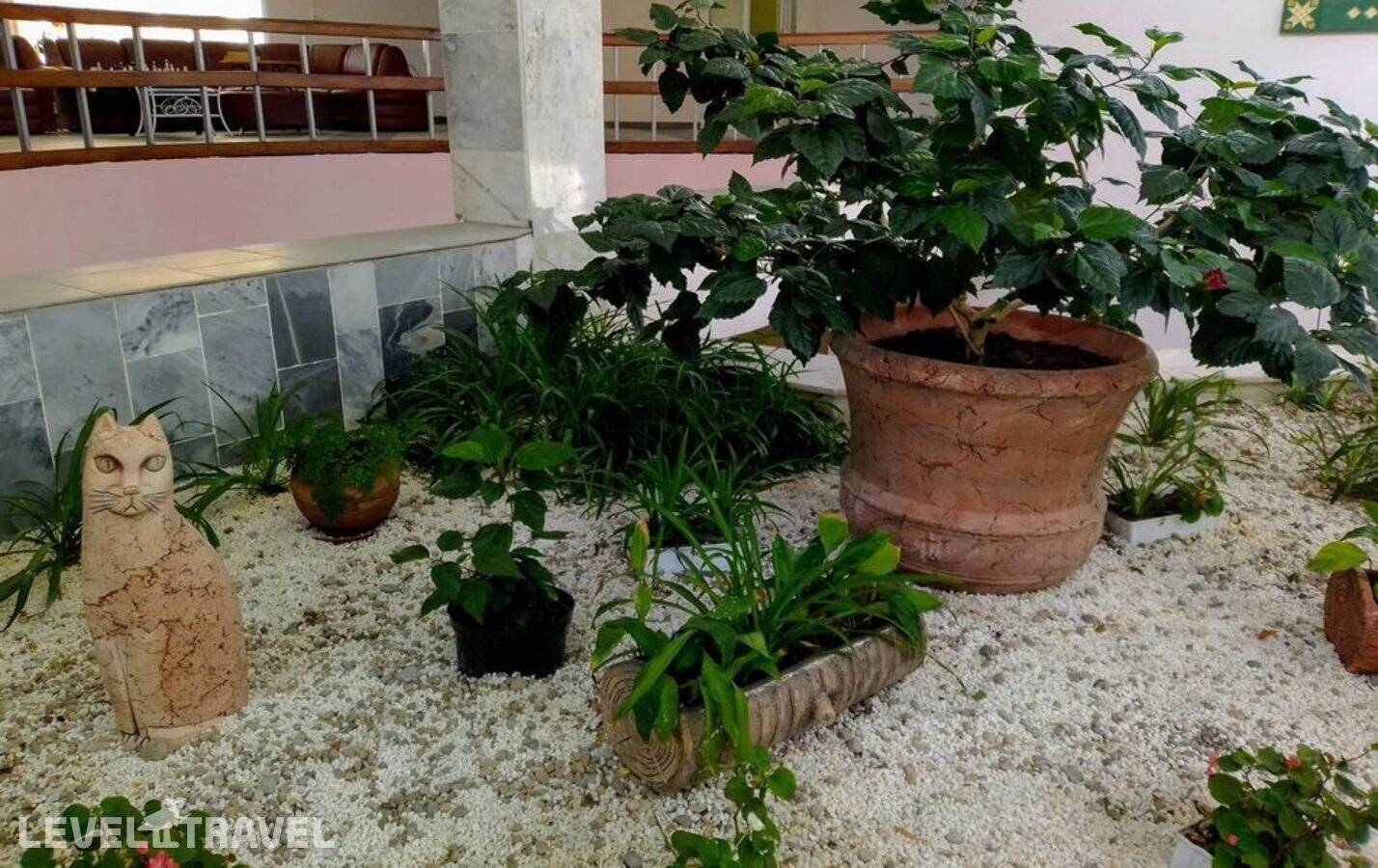 фотографии отеля Санаторий Березина Борисовский Р-Н (Adults Only 18+) в Беларусь(Борисовский район) - фото №26