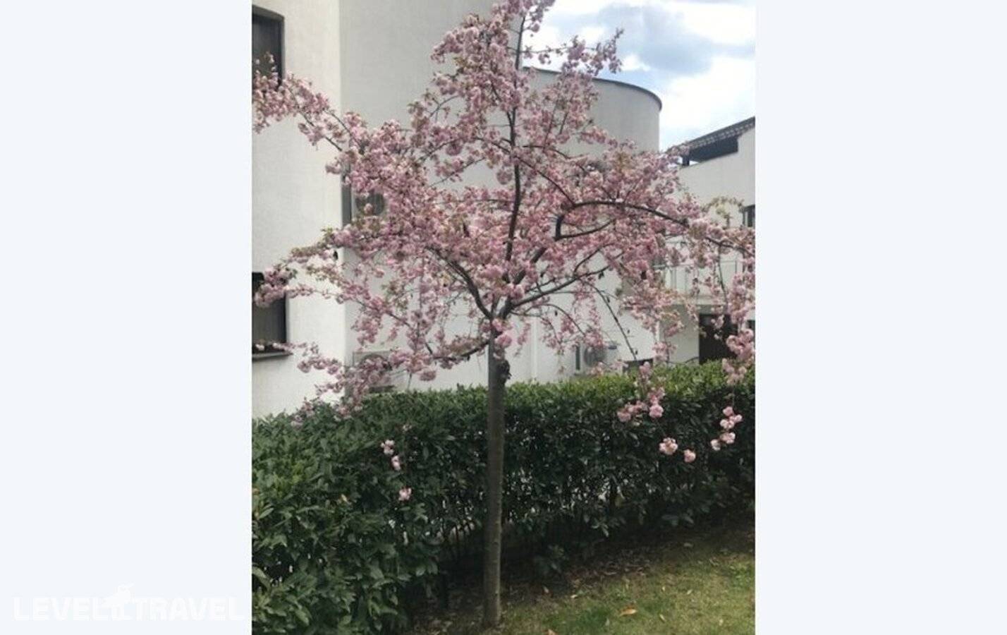 фотографии отеля Таврида в Россия(Утес) - фото №8