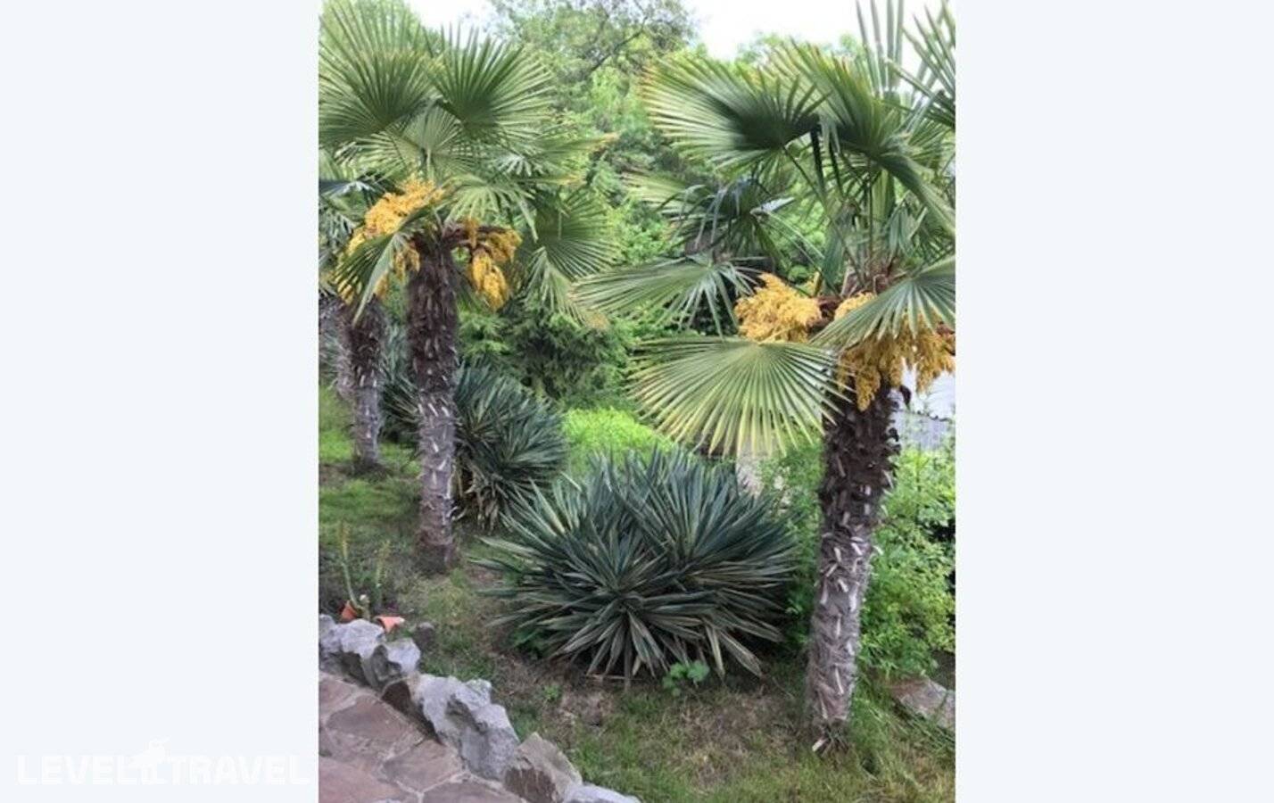 фотографии отеля Таврида в Россия(Утес) - фото №6