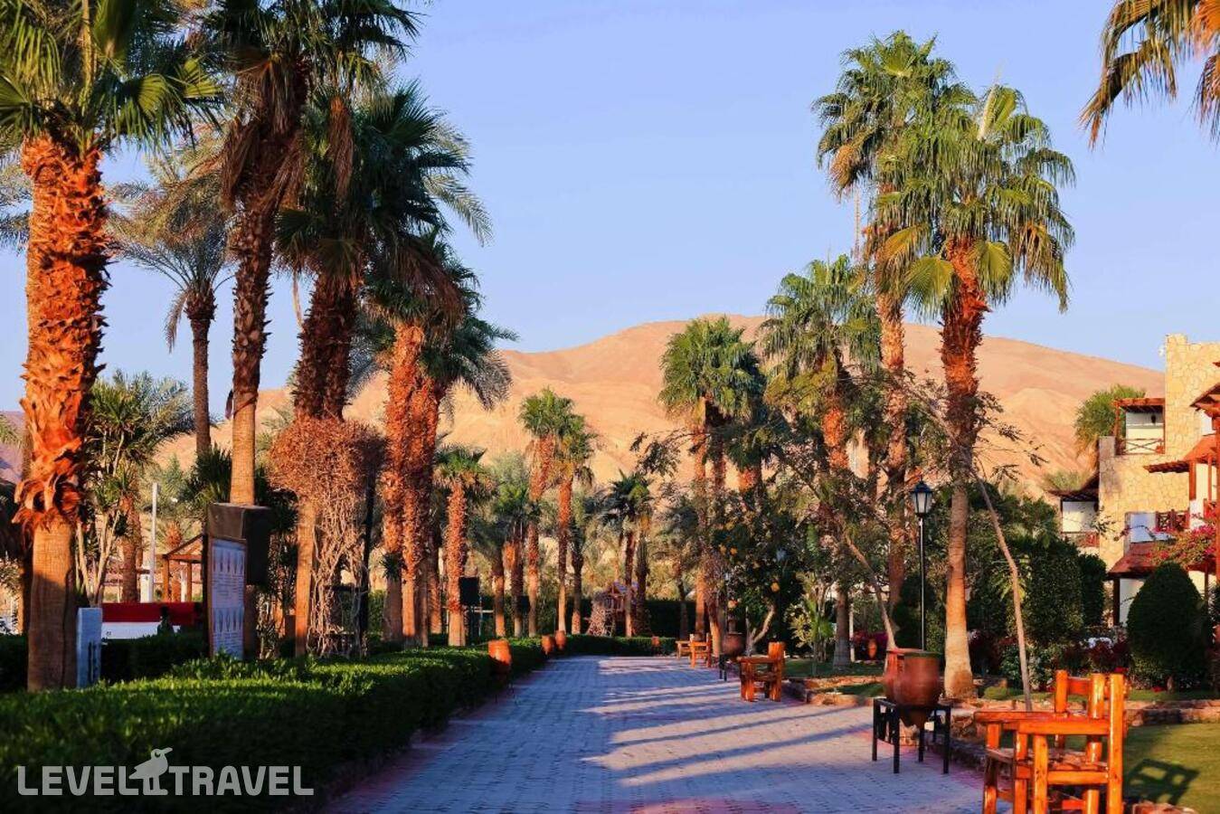 фотографии отеля Steigenberger Hotel & Nelson Village, Taba в Египет(Таба) - фото №4