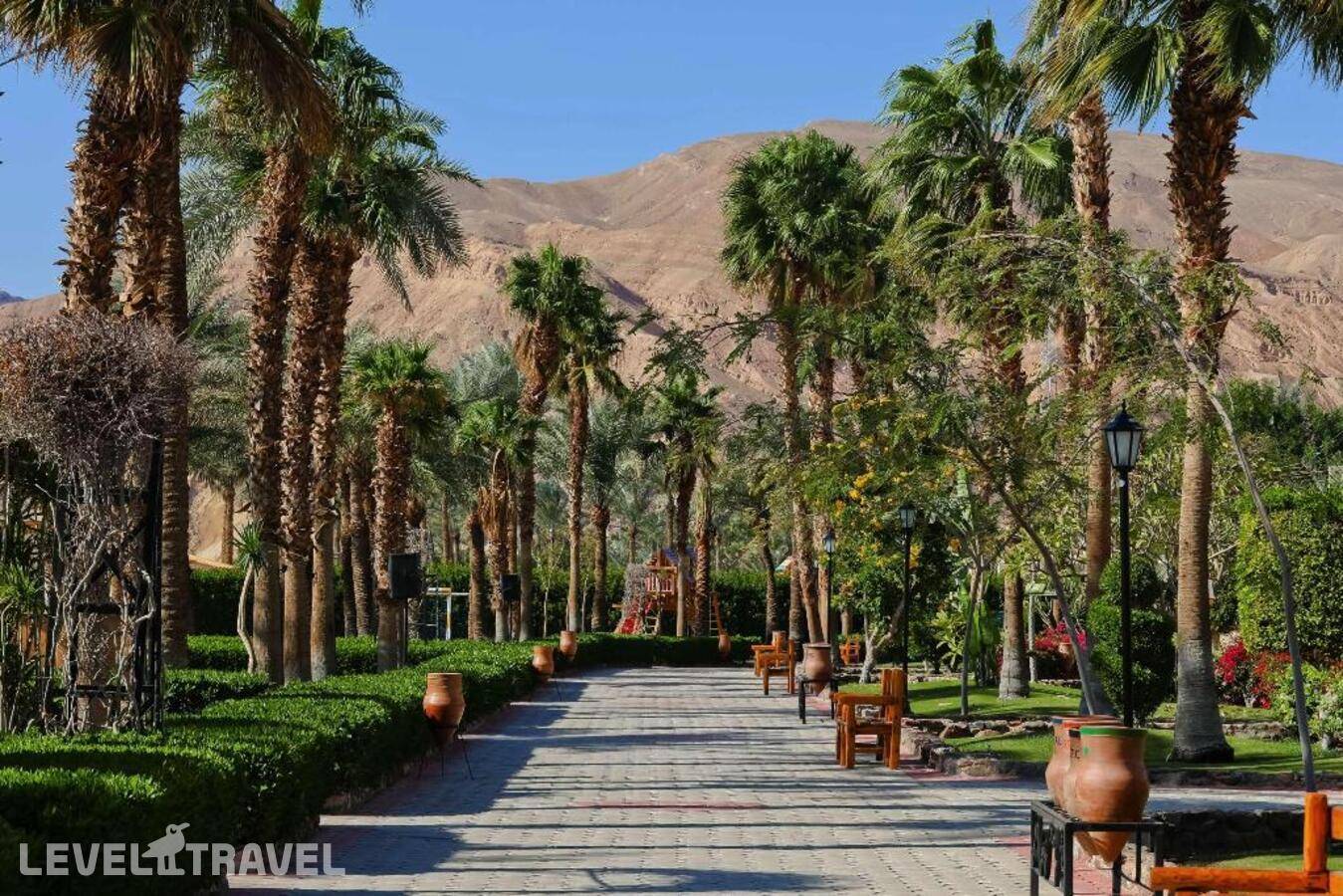 фотографии отеля Steigenberger Hotel & Nelson Village, Taba в Египет(Таба) - фото №5