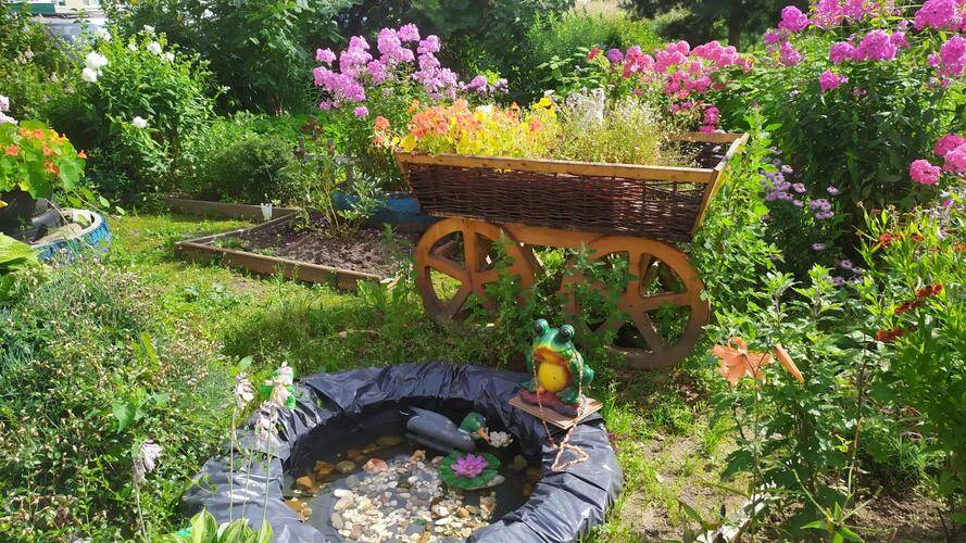 Отель Цветы И Сад На 1-Ой Выборгской