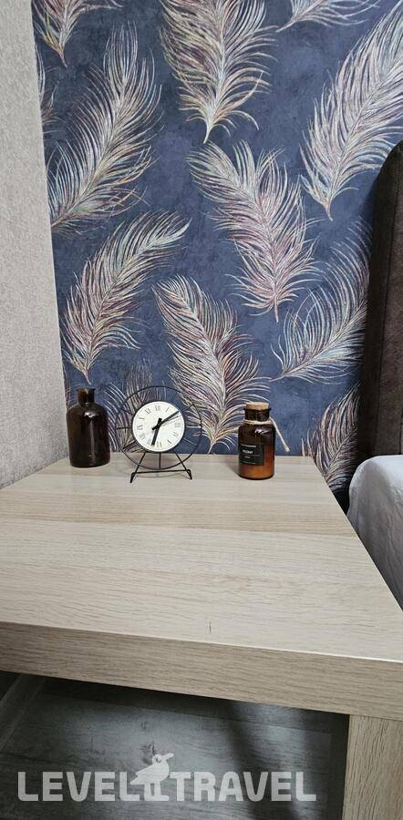 фотографии отеля Отель Апартаменты На Улице Красных Коммунаров 1 в Россия(Чита) - фото №23