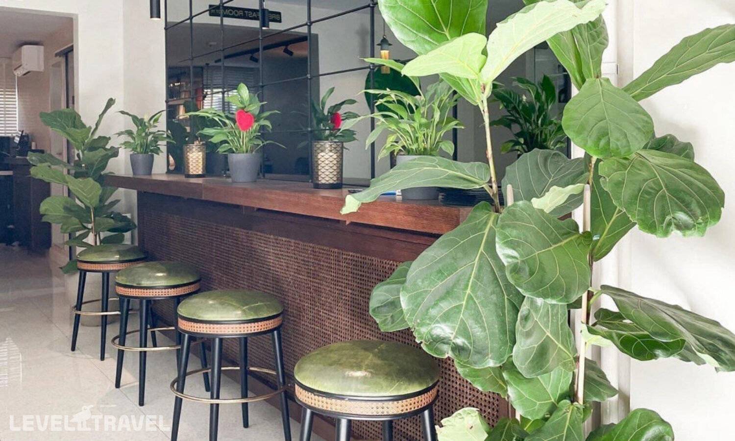 фотографии отеля Hotel Botanica в Сербия(Белград) - фото №53