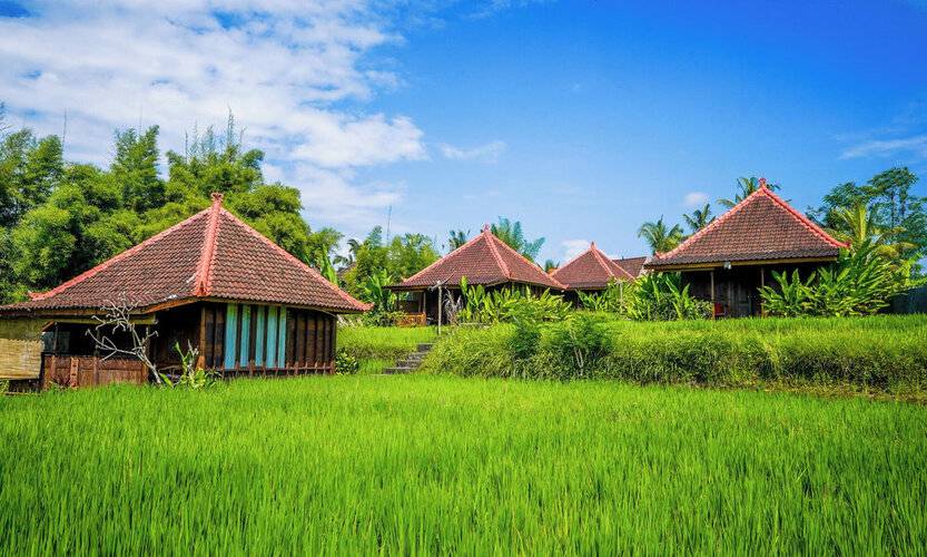 Ubud Sawah Homestay