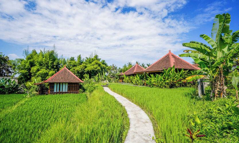 Ubud Sawah Homestay