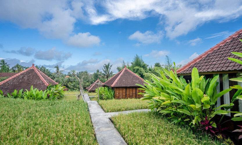 Ubud Sawah Homestay