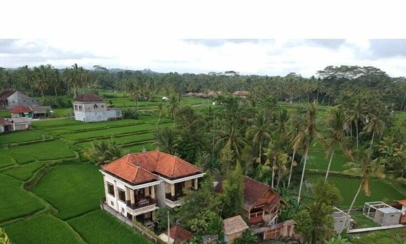 Ubud Sawah Homestay