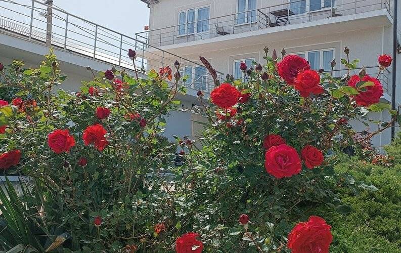 Sea Eco Villa (Морская Эко Вилла)
