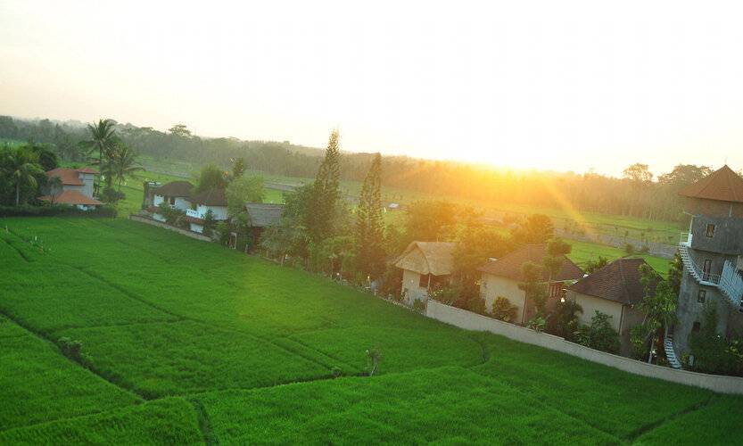 The Evitel Resort Ubud