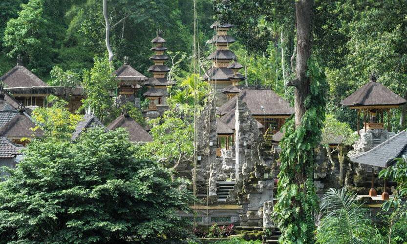 The Evitel Resort Ubud