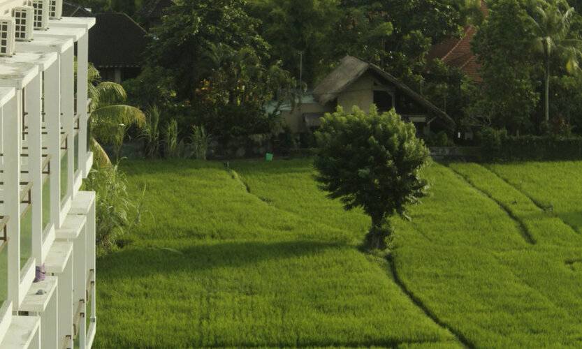 The Evitel Resort Ubud