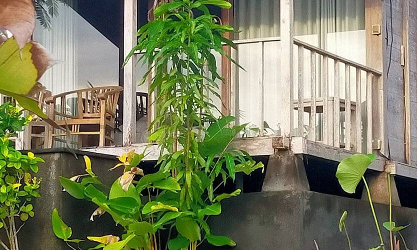 Green Bowl Beach Villas