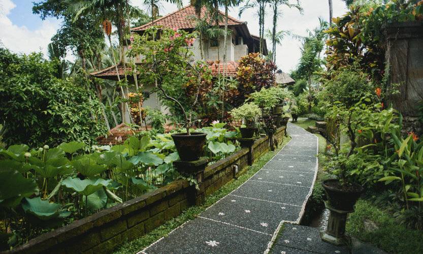 Alam Jiwa