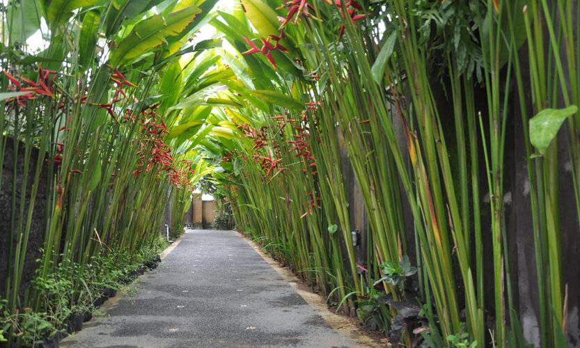 Kubudiuma Villas Bali