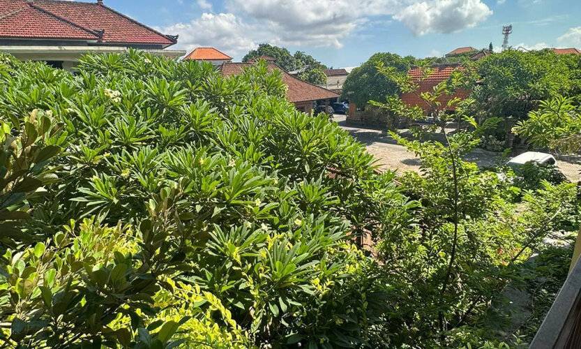Sari Buana Bed & Breakfast
