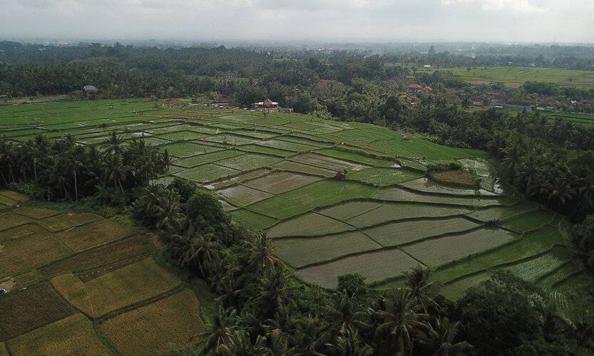 Asri Sari Resort