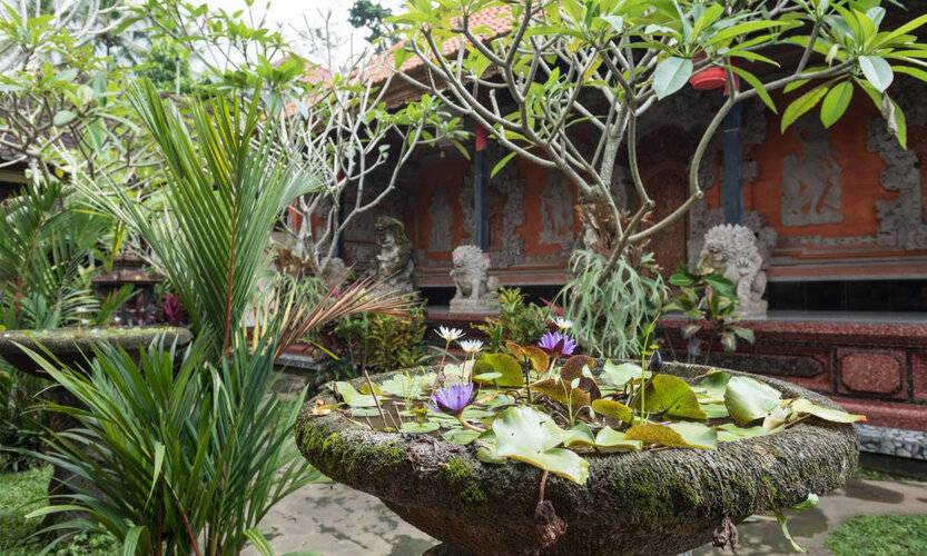 Alam Pracetha Bali Ubud
