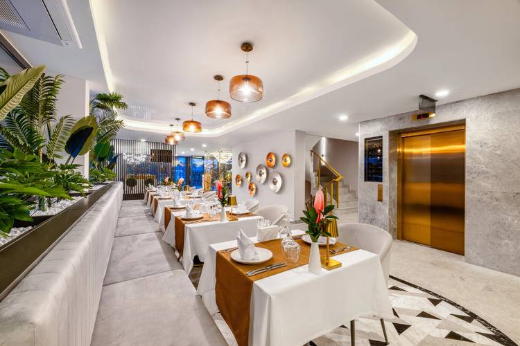 Lexia Hotels