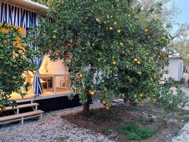Бунгало Dogada Bungalov