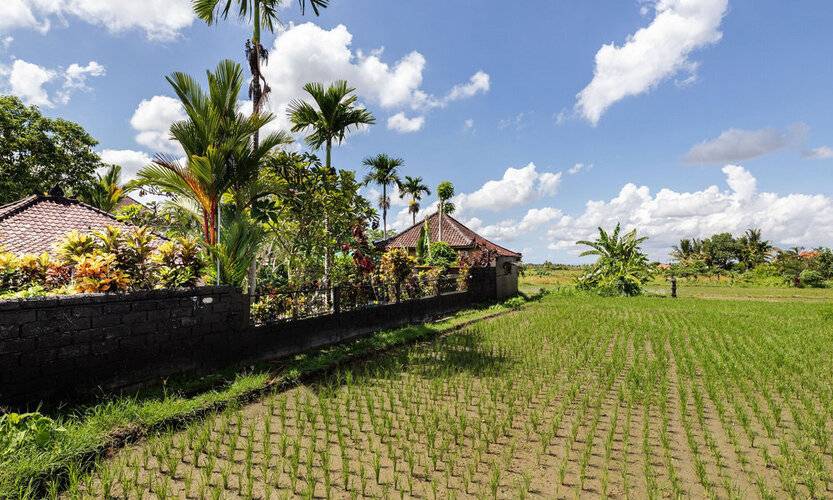 Devi's Place Ubud