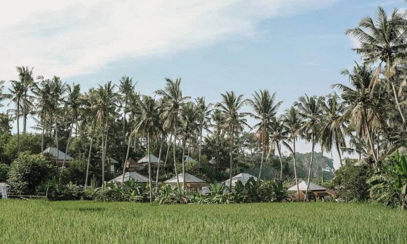 Hot Stone Club Ubud