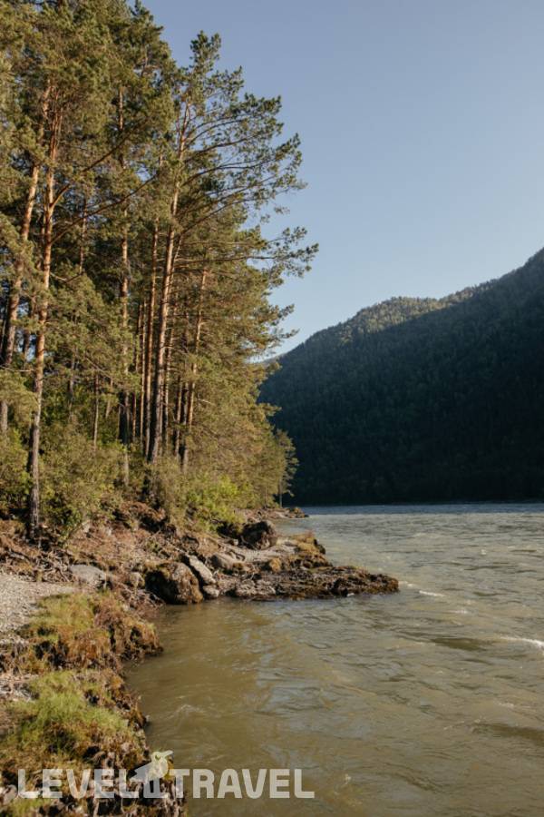 фотографии отеля Alteria в Россия(Чемал) - фото №9