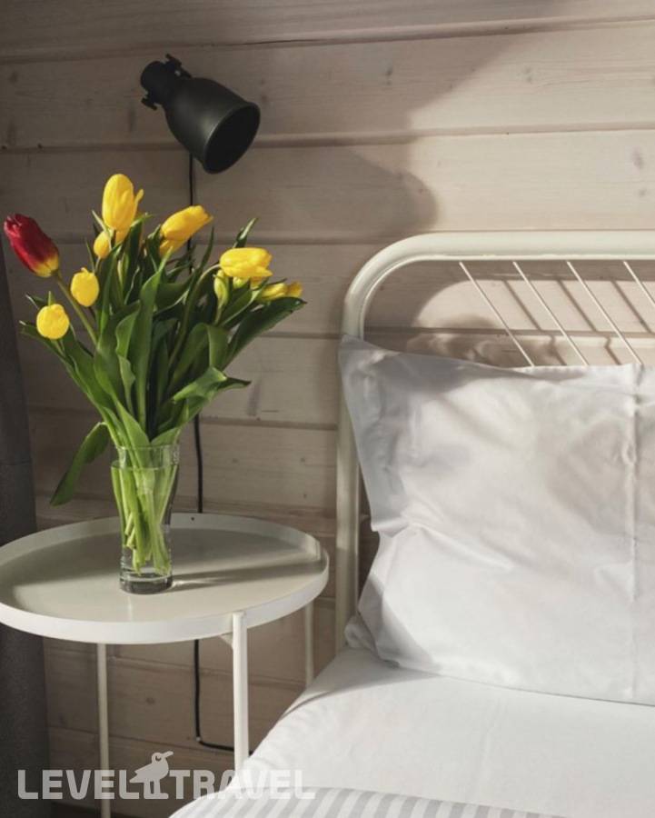 фотографии отеля Alteria в Россия(Чемал) - фото №2