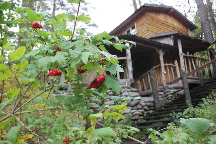 Altai Star
