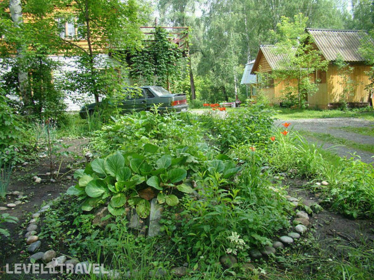 фотографии отеля Алёнушка в Россия(Алтай) - фото №8