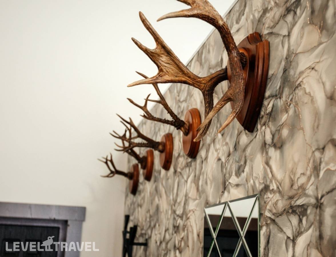 фотографии отеля Тайга в Россия(Алтай) - фото №61