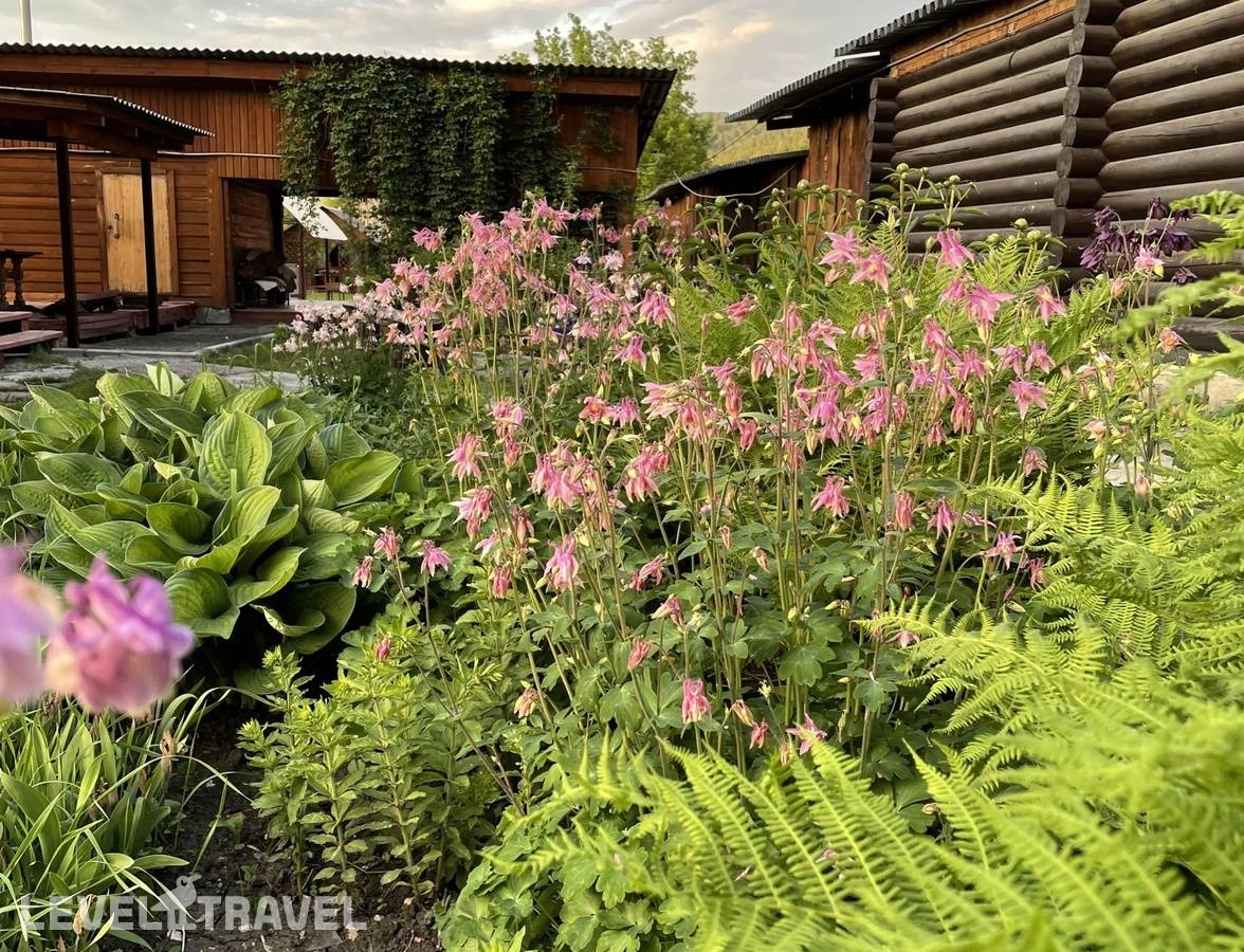 фотографии отеля Тайга в Россия(Алтай) - фото №24