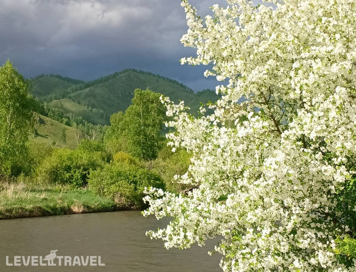 фотографии отеля Чедоев Привал в Россия(Камлак) - фото №4