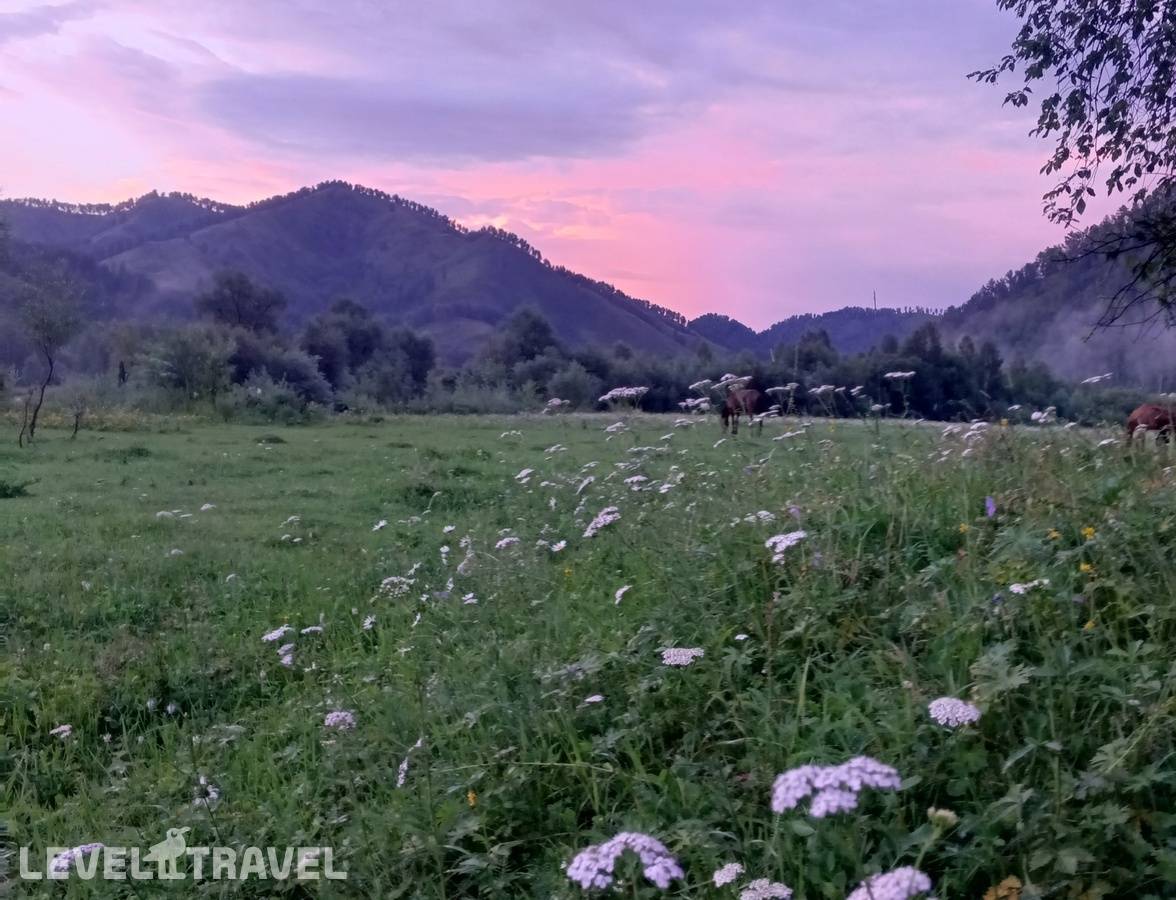 фотографии отеля Чедоев Привал в Россия(Камлак) - фото №5