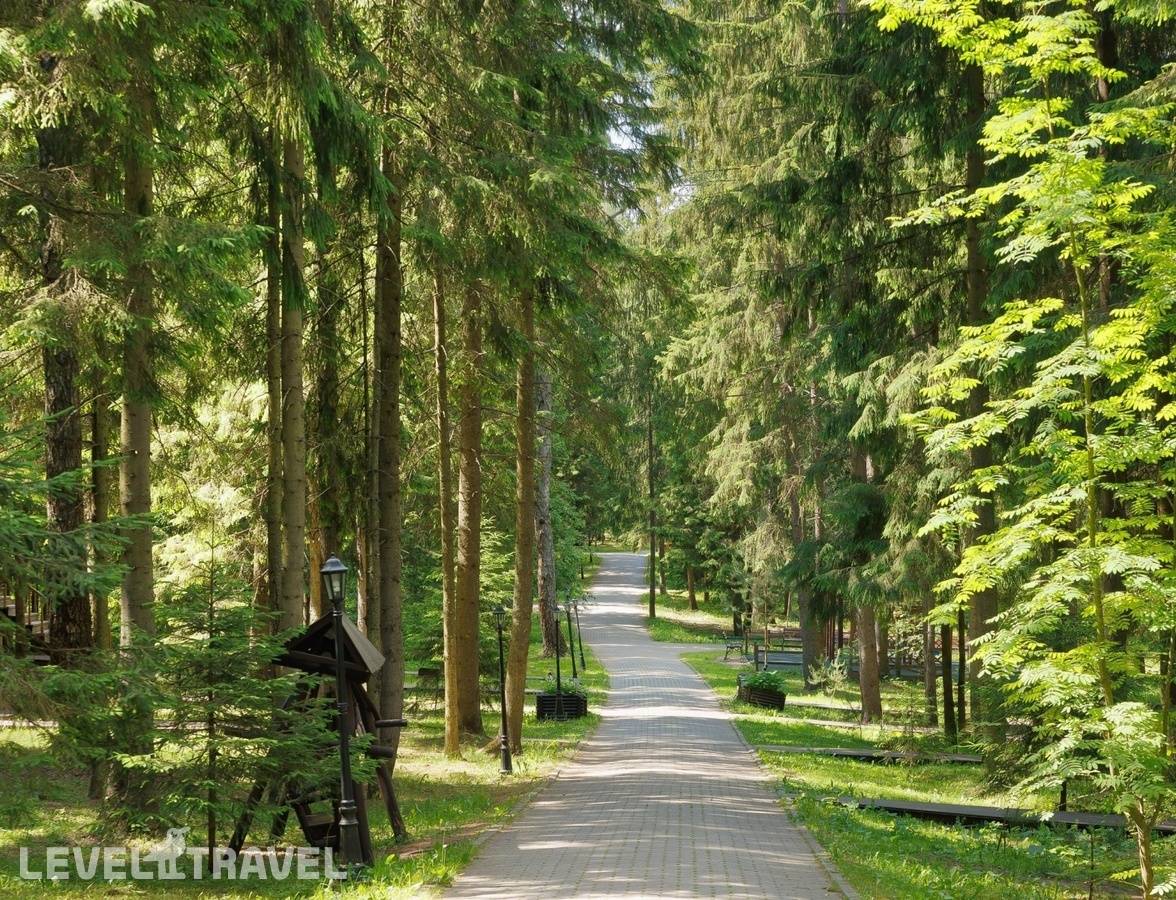 Изображение отеля 118