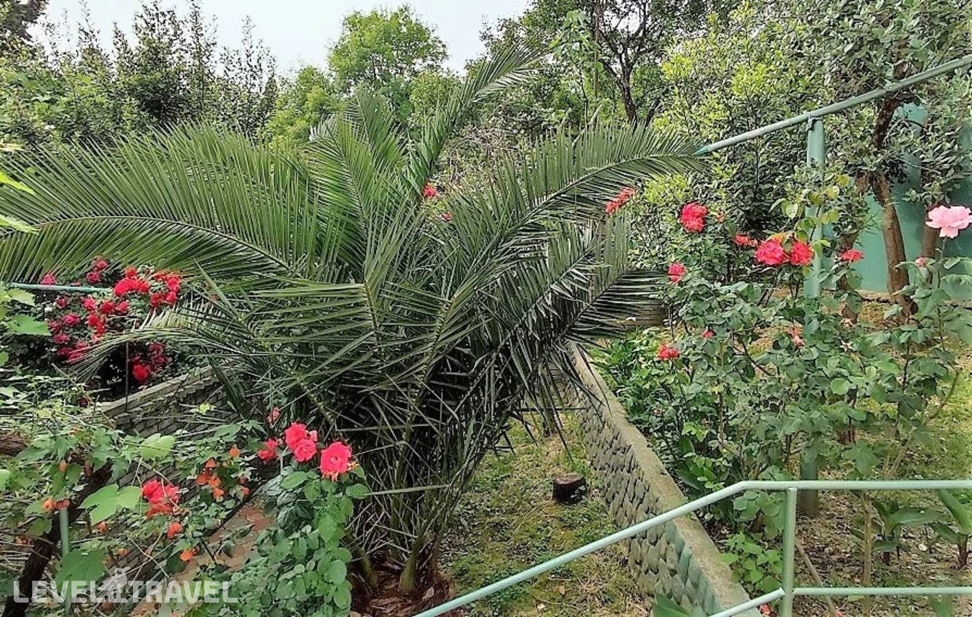 фотографии отеля Лазурный Берег в Россия(Хостинский район) - фото №39