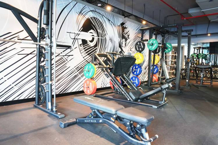 Knokey Studio One Marina